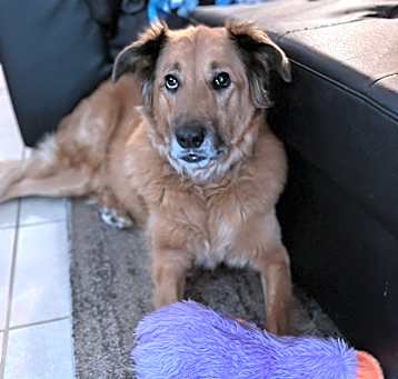 Photo of Axel