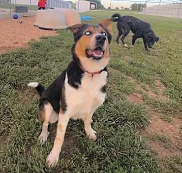 Photo of Meeka
