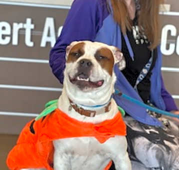 Photo of Tank