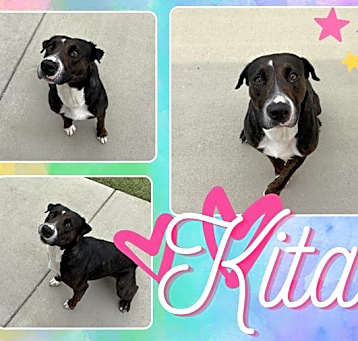Photo of KITA