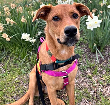 Photo of Lily