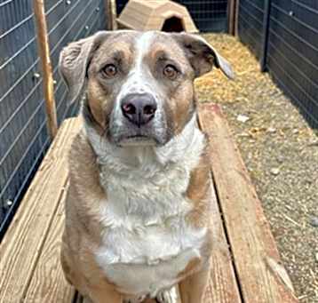 Photo of OSO