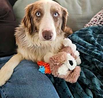 Photo of Sandy