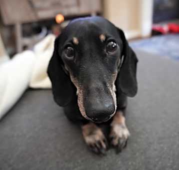 Photo of Leroy