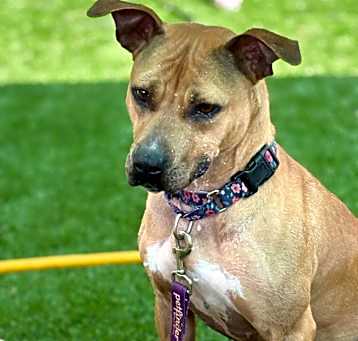 Photo of Molly