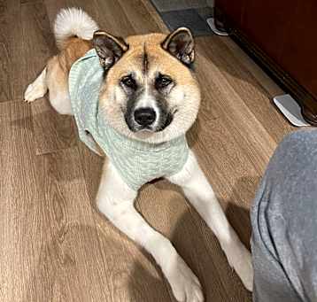 Photo of Kya