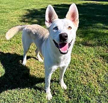 Photo of Bella