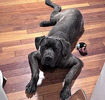 Photo of Tank