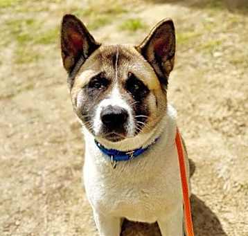 Photo of SASHA