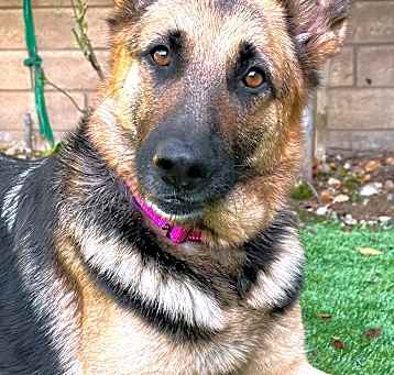 Photo of Savannah von Schleiz