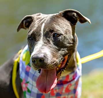Photo of Tasha