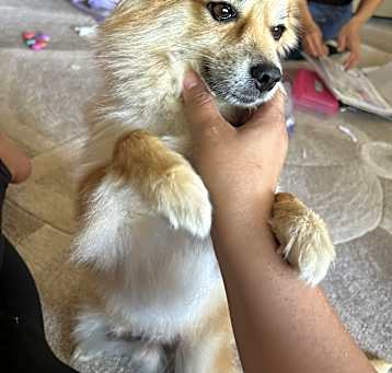 Photo of Duke