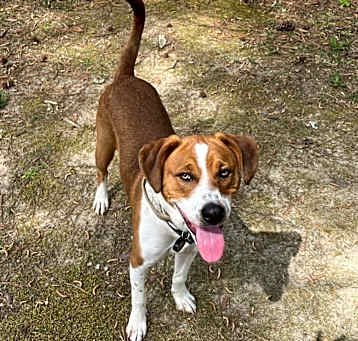 Photo of Max