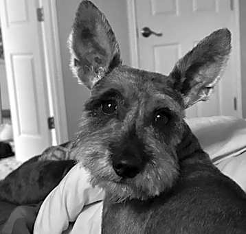 Photo of Murray