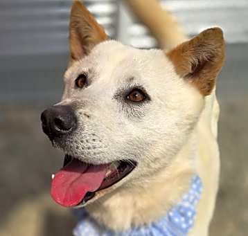 Photo of Molly