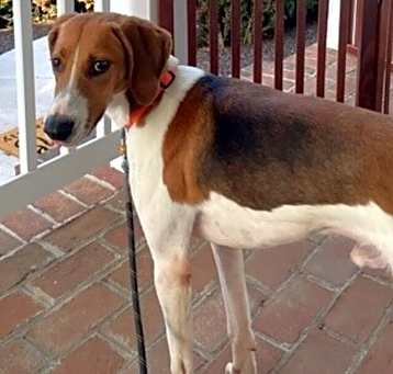 Photo of Edgar