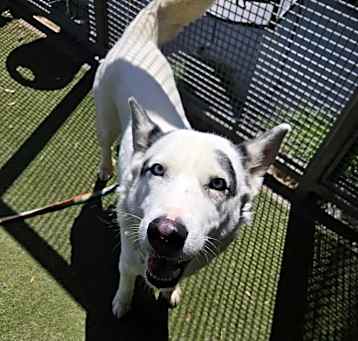 Photo of LUNA LADY