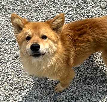 Photo of Borong