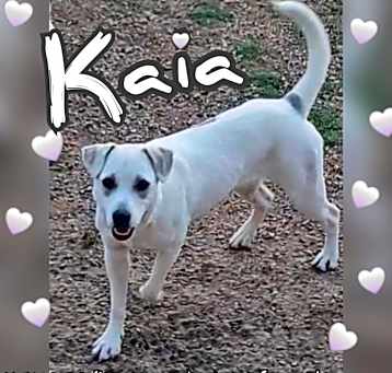 Photo of Kaia