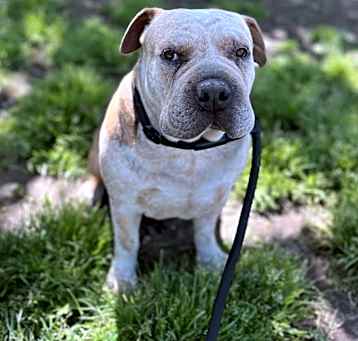 Photo of Buffy 