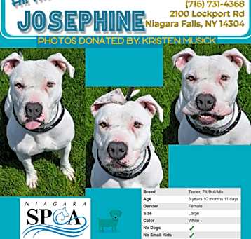 Photo of Josephine