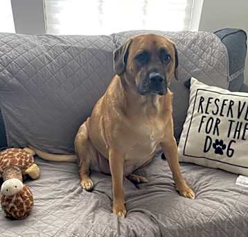 Photo of Zaxby