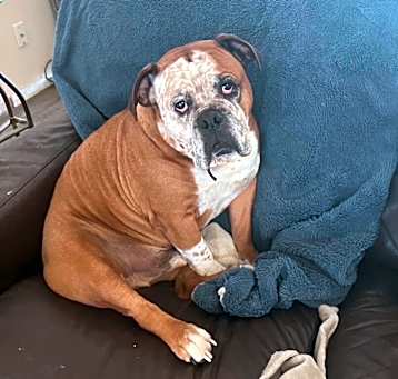 Photo of Duke