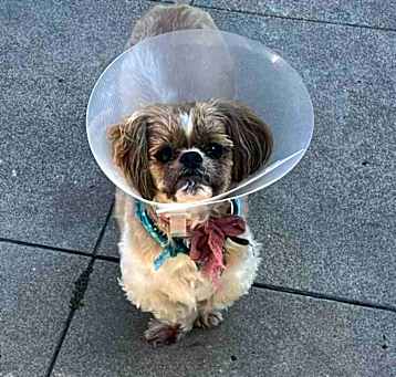 Photo of Winnie