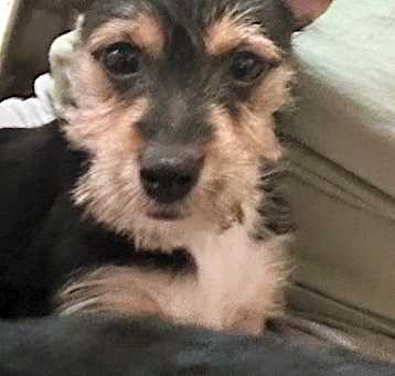 Photo of Ernie