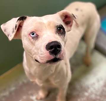 Photo of Dottie