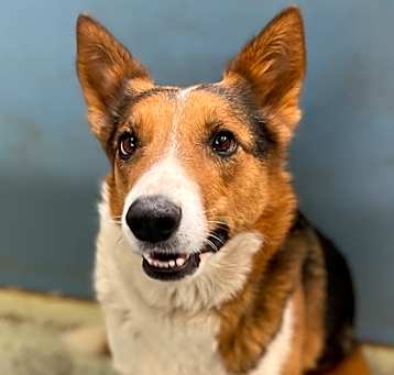 Photo of Chancy