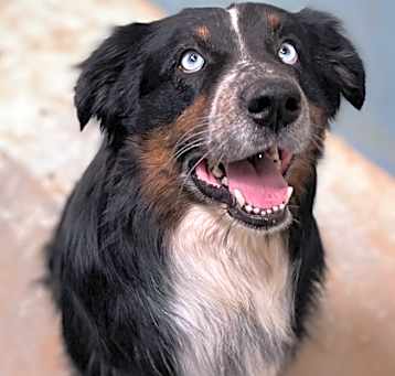 Photo of Cisco