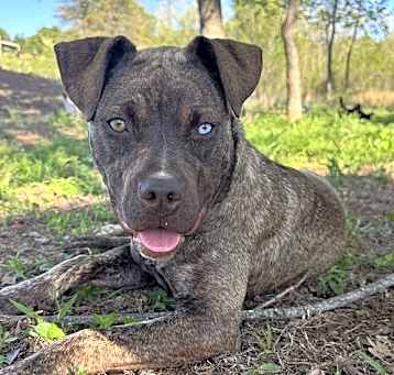 Photo of Coco