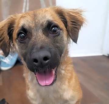 Photo of Sugar