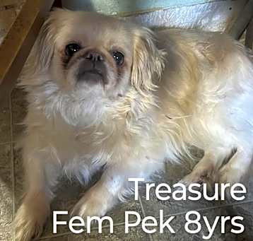 Photo of TREASURE ANN