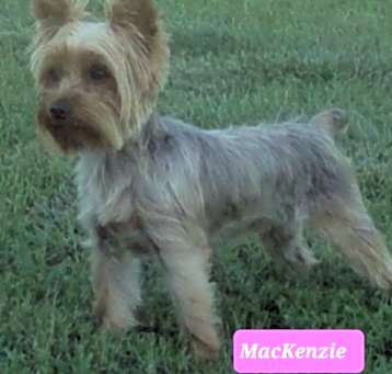 Photo of MCKENZI