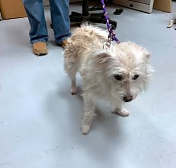 Photo of Maysie