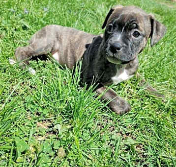 Photo of Evangeline