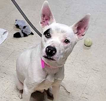 Photo of Keisha