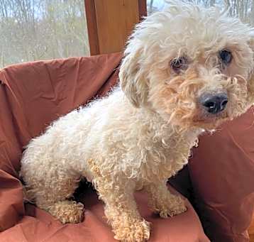 Photo of Dora