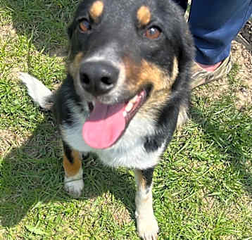 Photo of Buster