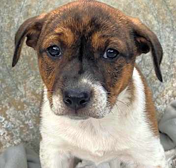 Photo of Wendy Darling