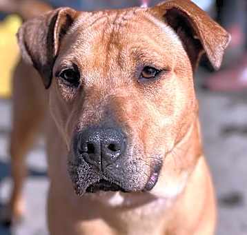 Photo of Maggie