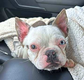Photo of Maggie