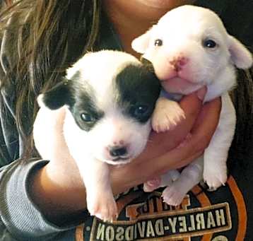 Photo of 2 sisters