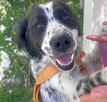 Photo of LALA 2 yrs