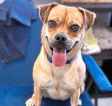 Photo of Delilah