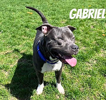 Photo of Gabriel