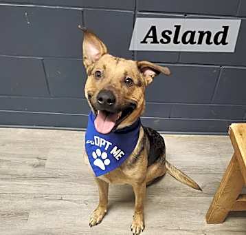 Photo of Asland