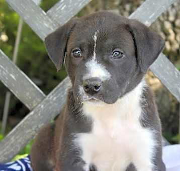 Photo of Darla